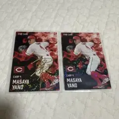 プロ野球チップス2025 広島カープ矢野雅哉(箔入り)セット　スターカード