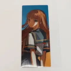 岸波白野 ザビ子 FGO 最終再臨展 編成画面風カード