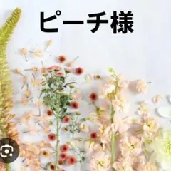 可愛いポメラニアンパネル生地　ハンドメイド