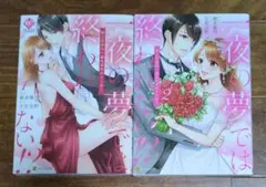 一夜の夢では終われない!? ①②　エタニティコミックス２冊セット
