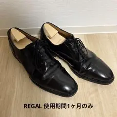 REGAL AIR ROTATION SYSTEM