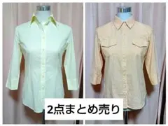 Item thumbnail for item 64793119-e2b9-4712-8479-bcd7c6bf540c