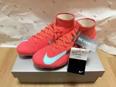 Item thumbnail for item 29365827-e532-4261-9465-cc8774b90b24