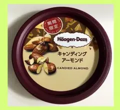 ハーゲンダッツ アイスクリーム 蓋のみ 期間限定商品