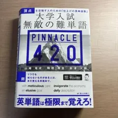 大学入試 無敵の難単語 PINNACLE 420