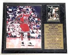 新品希少JORDAN No.45リミテッドフォト&カードプレート192/1995