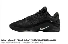 【2回のみ使用】LEBRON22 29cm 2025年最新】lebron22の人気アイテム - メルカリ