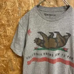 AE8246 THE PUBLIC EVE 半袖Tシャツ グレー レディース S