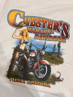 Harley-Davidson Tシャツ Lサイズ　ハーレーダビッドソン