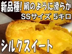 5kg 【シルクスイート】SSサイズ☆しっとり滑らか甘いさつまいも
