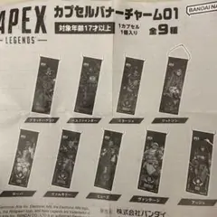 apexカプセルバナーチャーム　6種類