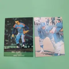 カルビープロ野球カード中日星野選手
