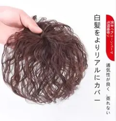 Item thumbnail for item ee839903-2642-4df3-a50c-c2c0f0379f60