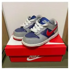 NIKE / DUNK / ダンク / サンバ / トドラー / 14cm