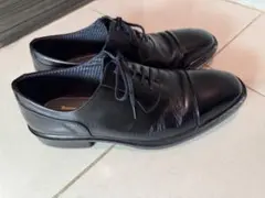 Item thumbnail for item a9fee724-25ba-46e4-9651-c8f02834cd3f