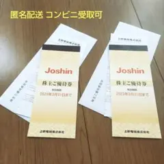 2冊分 上新電機 株主優待券 株主ご優待券 一万円分