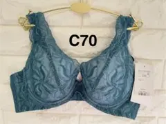 Item thumbnail for item 009e2232-5be4-4193-8292-0b4a087e1c2d