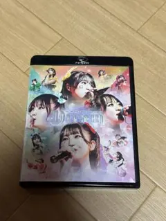 Item thumbnail for item 46705d40-ed0b-431b-8de9-77c80ecd3dbc