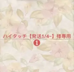 ハイタッチ【発送1/4~】様確認専用ページ
