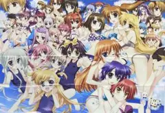⭕️魔法少女リリカルなのは　両面B1ポスター
