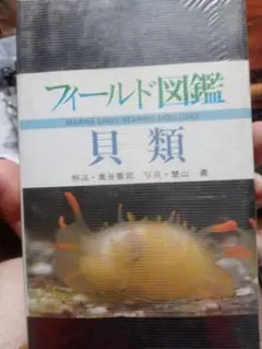 フィールド図鑑　貝類