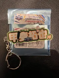 オールスター シークレットアクリルネームキーホルダー 甲斐拓也 読売ジャイアンツ