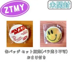 【未開封】ZTMYガチャ 缶バッジ(バラ売り不可)