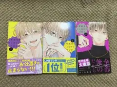 不可抗力のILoveYou 2、3、4巻セット