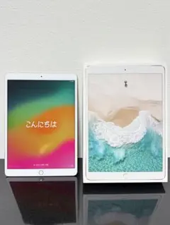 美品 iPad Pro 10.5 256GB gold