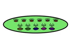 Item thumbnail for item e64cdd53-9df2-4254-a66d-8ead0c70cf0d