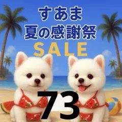 ✨夏の感謝祭セール✨パネル【Ｎｏ．73】