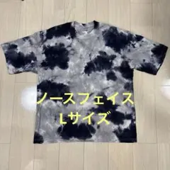 【美品】ノースフェイス L タイダイハンドライティングティー 半袖 tシャツ