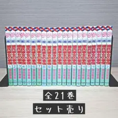 彼氏彼女の事情 全21巻セット 津田雅美 まとめ売り カレカノ 全巻 漫画