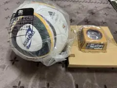 FIFA2010 ワールドカップ レプリカサッカーボール
