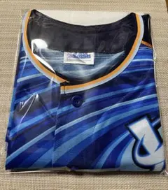 Item thumbnail for item d67aa277-1284-42ed-b838-fdb1358621ce