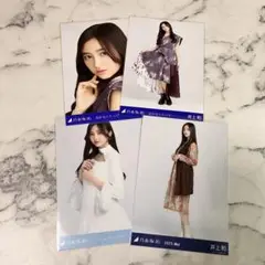 乃木坂46 生写真 井上和まとめ売り