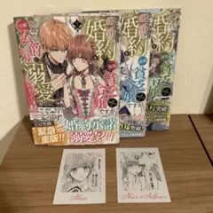 成り行きで婚約を申し込んだ弱気貧乏令嬢ですが何故か次期公爵様に溺愛されて囚われて