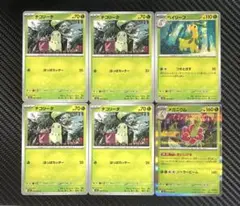 チコリータ　ベイリーフ　メガニウム　おいしげる　6枚セット　M1S