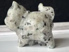 セール　キウイジャスパー　猫