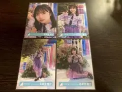 正源司陽子　日向坂46 Love yourself MV衣装 生写真　コンプ