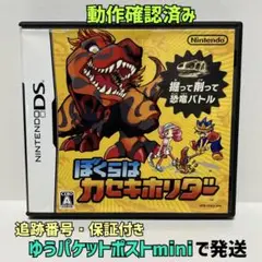 任天堂DS ぼくらはカセキホリダー