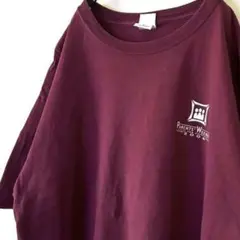 ギルダン ペアレンツ ウィークエンド Tシャツ XL レッド 赤 古着