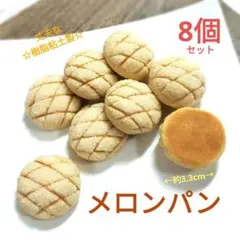 NO.394【限定/樹脂粘土製】メロンパン(大)合計8個セット♪