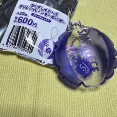 サンフレッチェ 広島 ガチャ 51加藤陸次樹　PVCバルーンキーホルダー