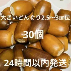 Item thumbnail for item e5bae567-1e84-4f13-802a-b0bdb77ad354