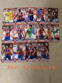 アルビレックス新潟　オンサイトカード第2弾　N