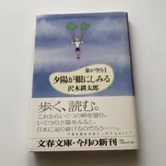 夕陽が眼にしみる
