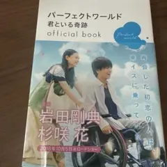 パーフェクトワールド 君といる奇跡 official book