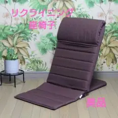 ドウシシャ いつでもどこでも背もたれ 座椅子 リクライニング スリム収納