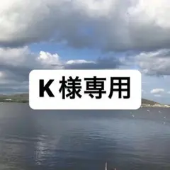 【K様専用】ブランド リュック